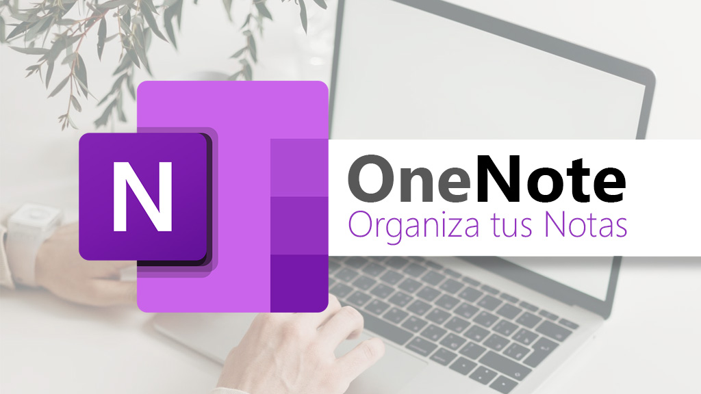 Microsoft OneNote 365